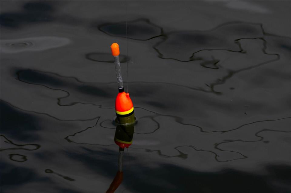 Einen 34 Zentimeter großen lebenden Fisch fand die Polizei an der Angel des Jugendlichen. (Symbolbild)Stefan Sauer/dpa