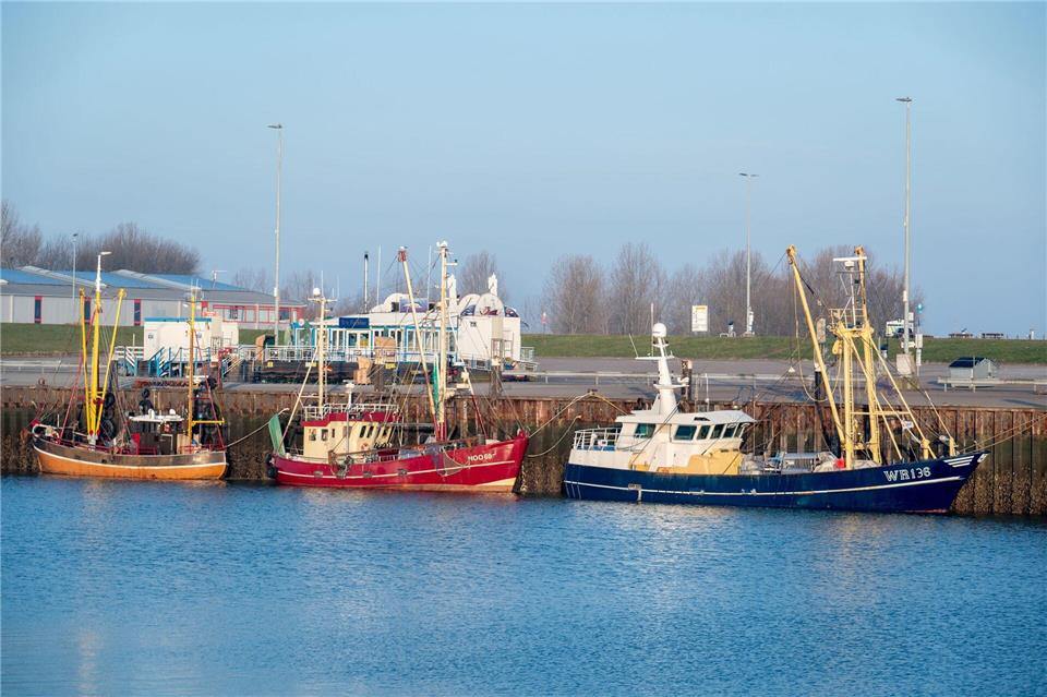 Einen blauen Himmel werden am Wochenende wohl viele Menschen in Niedersachsen sehen.Hauke-Christian Dittrich/dpa