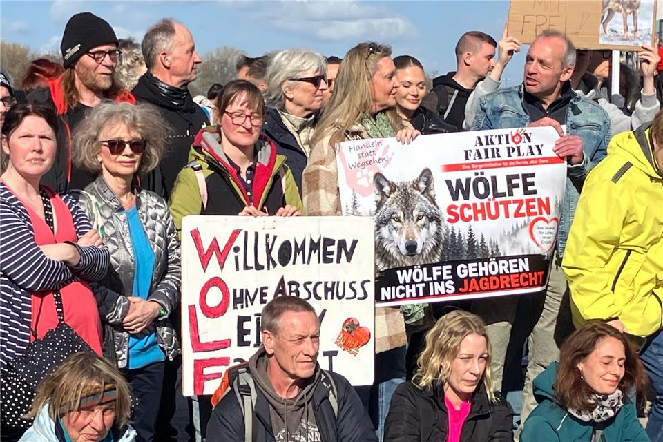 Einige der Demonstranten brachten ihre Hunde mit, andere trugen Schilder mit der Aufschrift „Lasst ihn zurück in seine Freiheit“, „Ich bin keine Trophäe“ oder „Der Wolf soll bleiben“.Markus Klemm/dpa