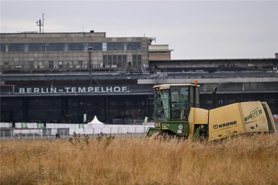 Einmal im Jahr wird das Gras auf dem Tempelhofer Feld gemäht. Britta Pedersen/dpa