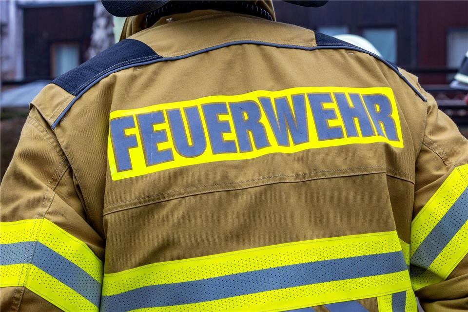 Einsatzkräfte der Feuerwehr brachten die verletzte Schildkröte in eine Klinik. (Symbolbild)Jens Büttner/dpa