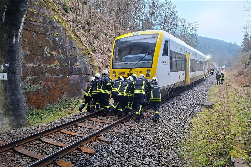 Einsatzkräfte der Feuerwehr schoben den Zug aus dem Tunnel hinaus.Markus Frank/Feuerwehr Calw/dpa