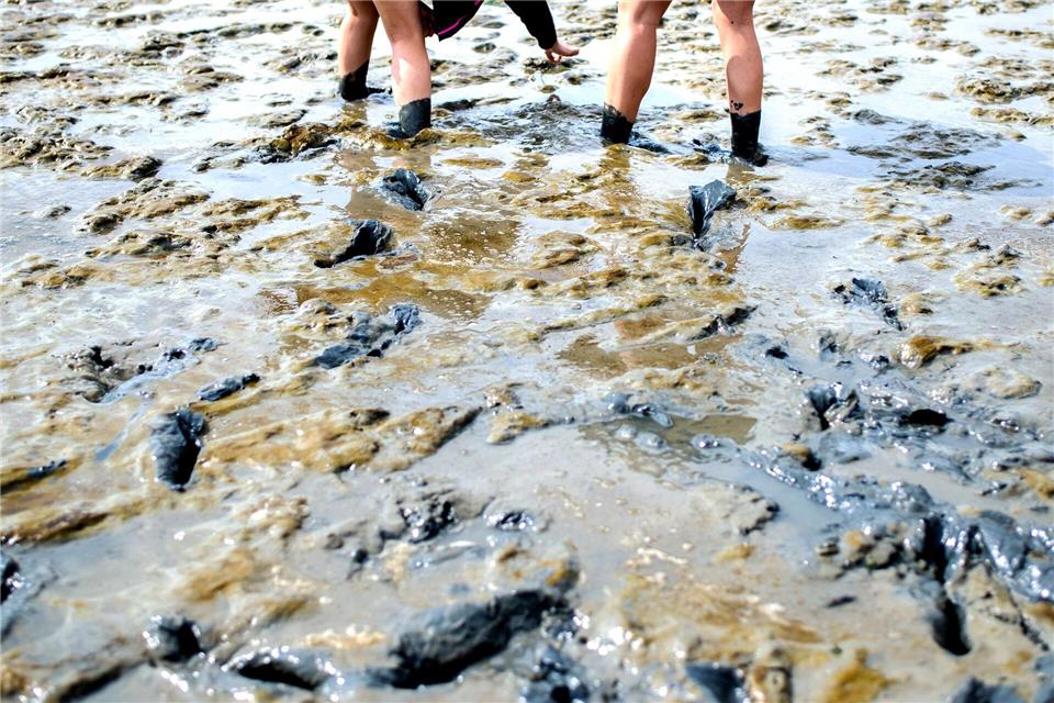 Einsatzkräfte müssen immer wieder Menschen in Notlagen aus dem Watt retten. (Symbolbild)Hauke-Christian Dittrich/dpa