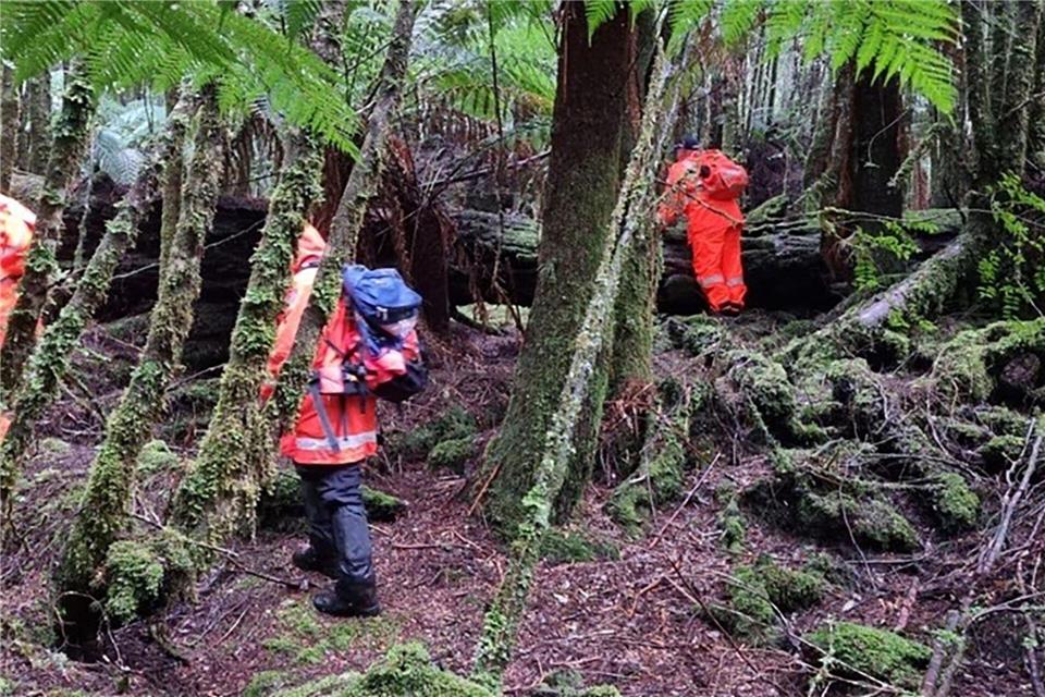 Einsatzkräfte suchten 2023 die dichten Wälder Tasmaniens nach der 31-Jährigen ab. (Archivbild)Supplied/TASMANIA POLICE/AAP/dpa
