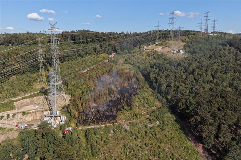 Einsatzwagen der Feuerwehr stehen an einem brennendem Waldstück unter Hochspannungsleitungen.Alex Talash/dpa