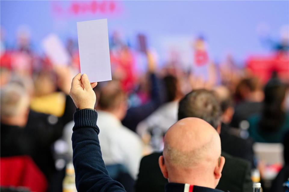 Einstimmig wurde das Wahlprogramm beschlossen. Uwe Anspach/dpa