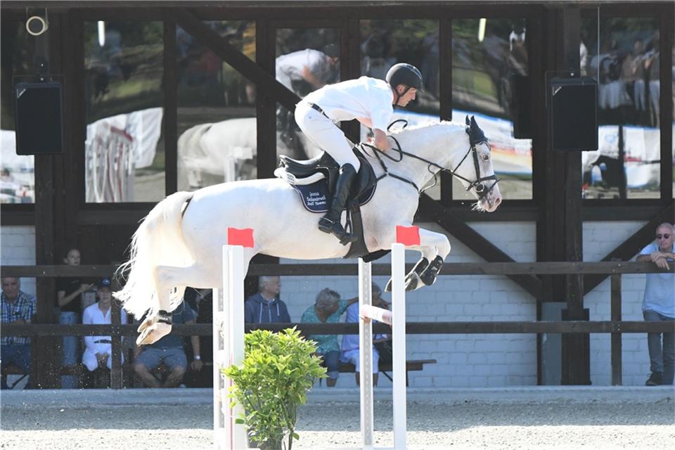 Eleganter Auftritt: Hendrik Dowe hat sich auch mit dem jungen Holsteiner Ziroquada für das Bundeschampionat qualifiziert, hier wird das Paar im Stechen des M*-Springens Dritte beim Heimturnier. 