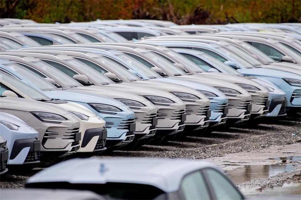 Elektrofahrzeuge von BYD stehen im Hafengebiet von Wilhelmshaven. Chinesische Hersteller drängen weiter auf den EU-Automarkt. (Archivbild)Hauke-Christian Dittrich/dpa