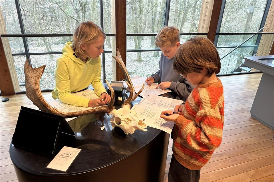 Elf Kinder der jungen Uni Bocholt besuchten das Naturparkhaus Raesfeld.