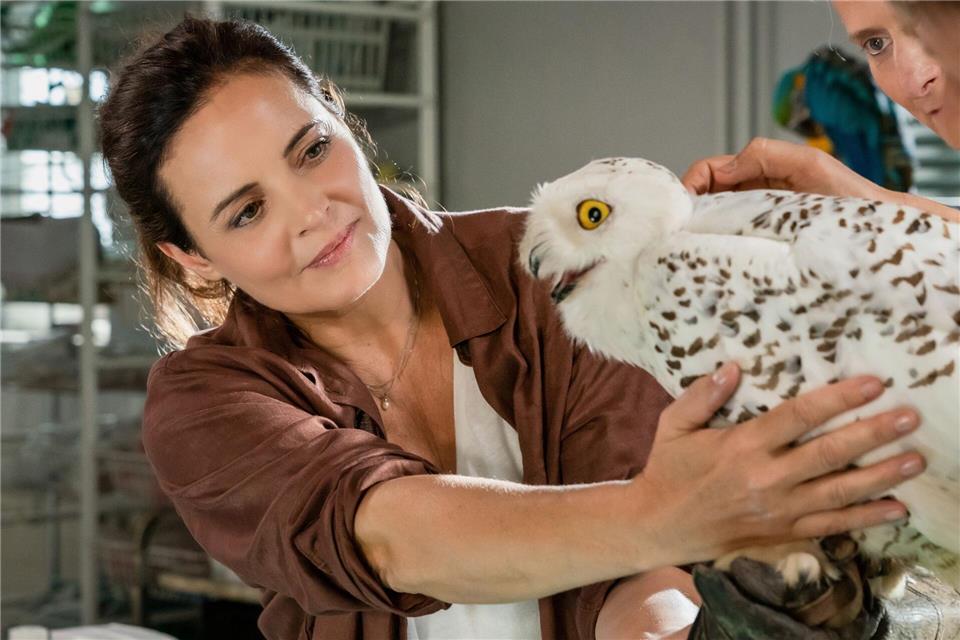 Elisabeth Lanz spielt schon seit 2006 die Tierärztin Dr. Susanne Mertens für die ARD. (Archivbild)Steffen Junghans/ARD/dpa