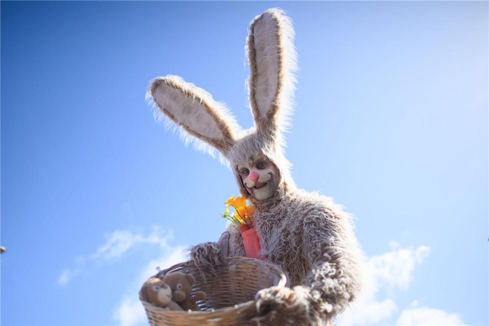 Enrico Lein ist vor Ostern als Hase im Dauereinsatz.Klaus-Dietmar Gabbert/dpa