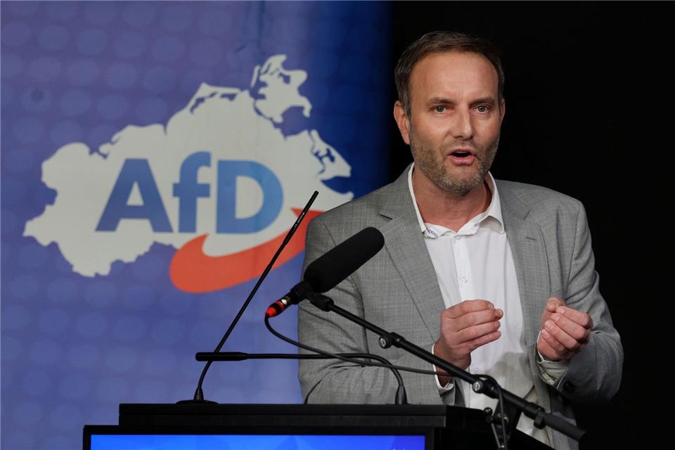 Enrico Schult will auf Listenplatz 1 der Landesliste in den Landtagswahlkampf gehen.Bernd Wüstneck/dpa