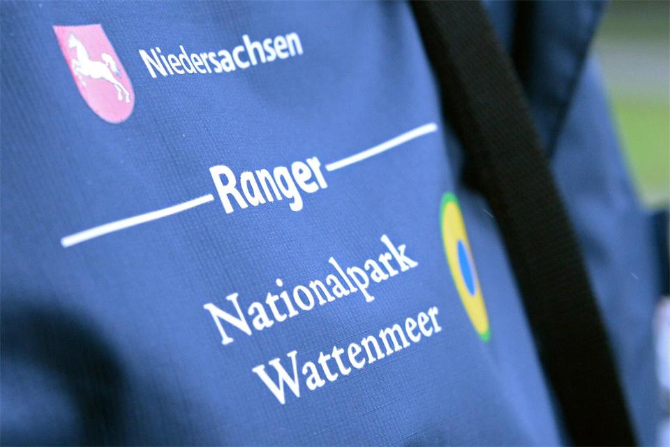 Entlang der deutschen Wattenmeerküste gibt es bislang rund 30 hauptamtliche Rangerinnen und Ranger. (Archivbild)picture alliance / dpa