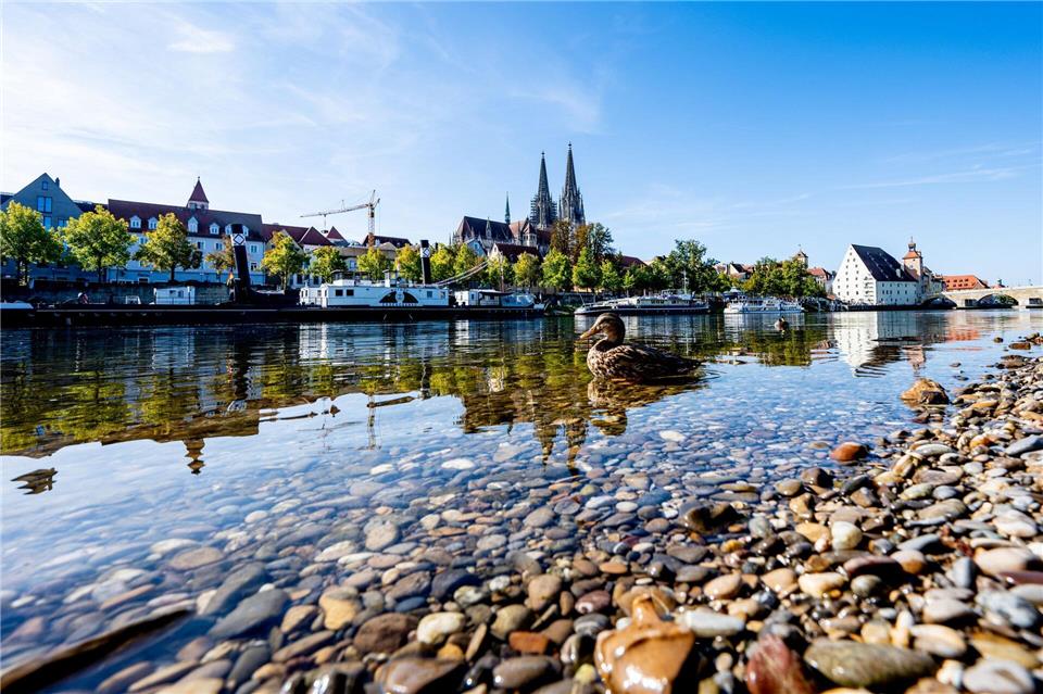 Entwarnung: Das Wasser der Donau soll keine gefährlichen Blaualgen enthalten. (Symbolbild)Armin Weigel/dpa
