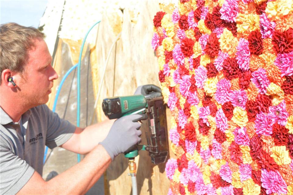 Entwerfen, bauen, tackern, freuen – der Blumenkorso ist in das Landesinventar des Immateriellen Kulturerbes in Nordrhein-Westfalen aufgenommen worden.