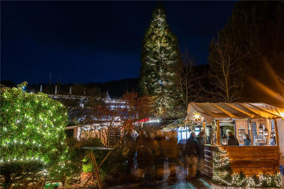 Er ist 25 Meter hoch und lebendig.Harald Tittel/dpa