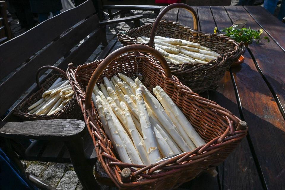 Er ist frisch vom Feld geholt: Der Beelitzer Spargel wird rechtzeitig vor Ostern geerntet.Jens Kalaene/dpa