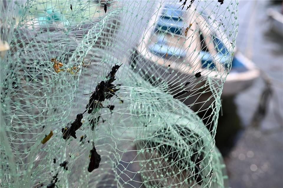 Erdölrückstände haben die Ausrüstung der Fischer verschmutzt, darunter Netze.Yahir Ceballos/dpa