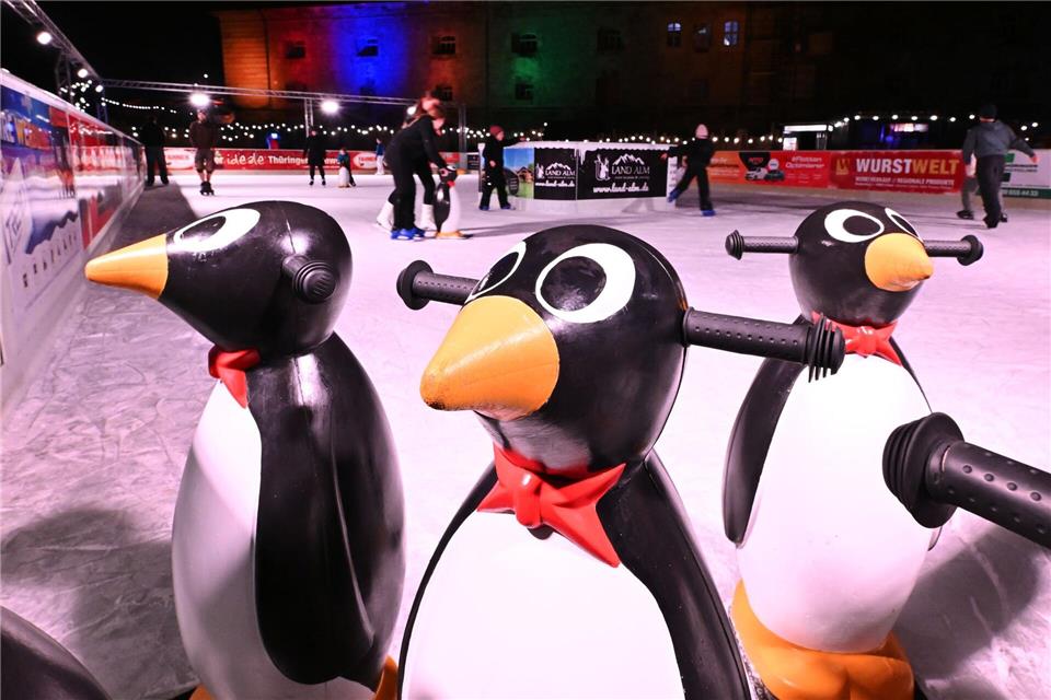 Erfurt, Weimar und Ilmenau gehören zu den Thüringer Städten, in denen im Winter Schlittschuhlaufen auf Open-Air-Kunsteisbahnen oder in Eissporthallen möglich ist.Martin Schutt/dpa