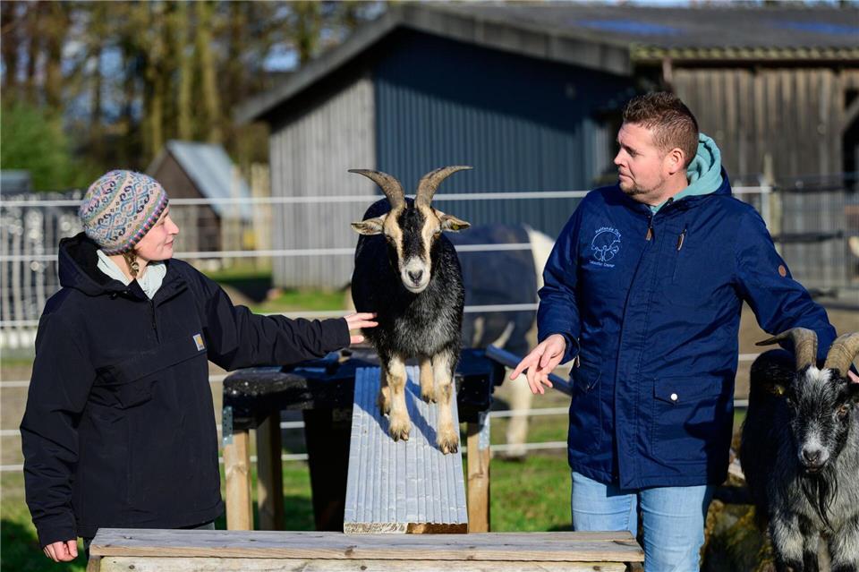 Ergotherapeutin Nina Steinberg und Sebastian Cramer führen eine kleine Übung mit Ziegen durch. (Archivbild)Philipp Schulze/dpa