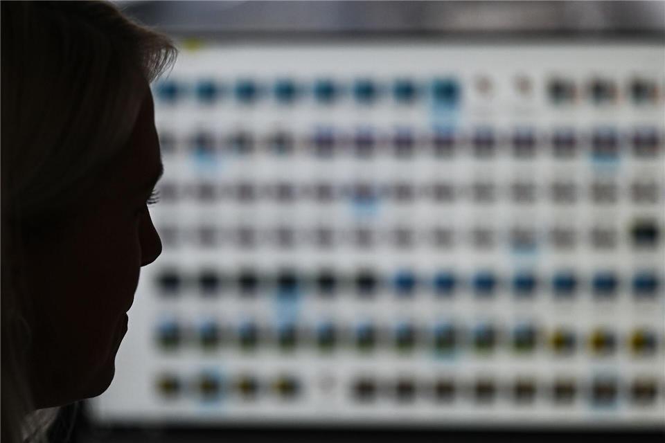 Ermittler finden Millionen Dateien mit kinder- und jugendpornografischen Inhalten bei einem Thüringer Richter, der in Niedersachsen lebt. Ein Brief der Staatsanwaltschaft dazu kommt allerdings beim Justizministerium in Thüringen nicht an. (Symbolbild)Arne Dedert/dpa
