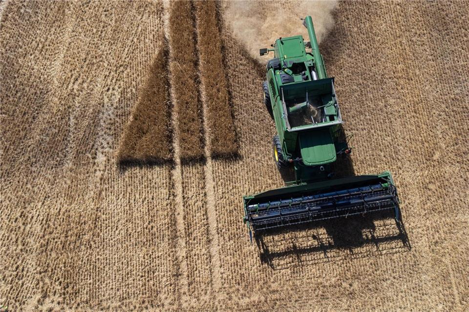 Ernteaussichten sind regional unterschiedlich.Hannes P. Albert/dpa