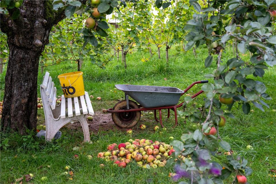 Erntedankfest: Herbstliche Stimmung auf dem Land in UntermerzbachPia Bayer/dpa