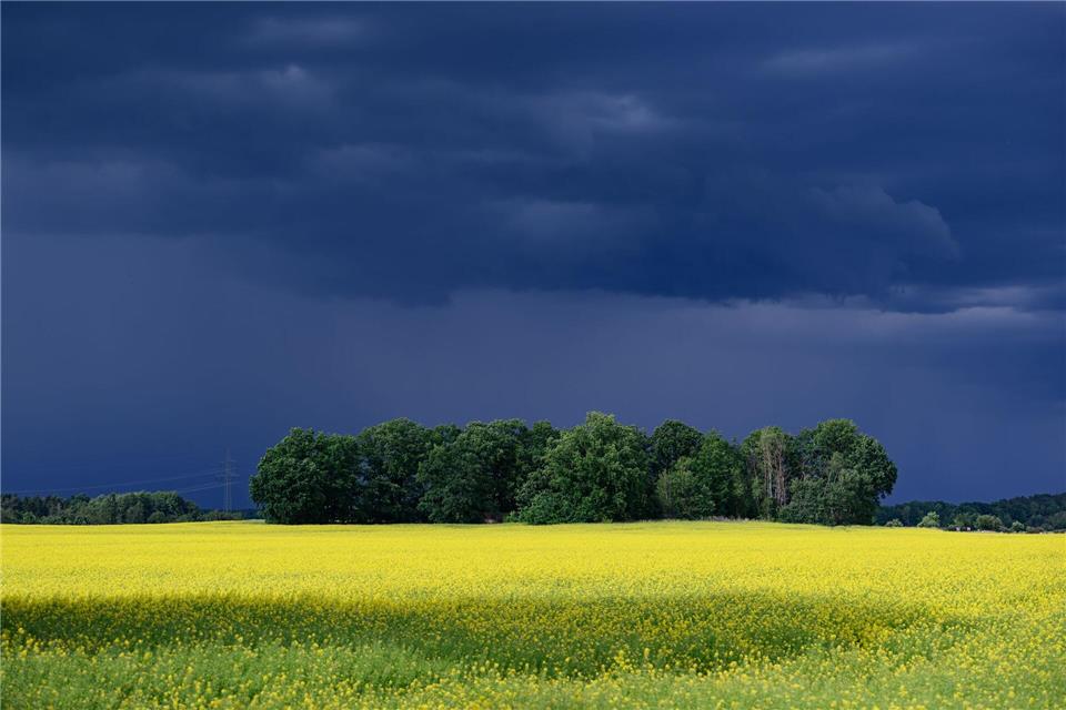 Erst am Freitag sind keine Gewitter mehr angesagt. (Symbolbild)Robert Michael/dpa