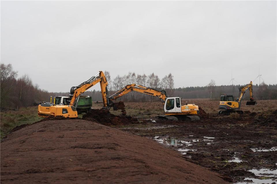 Erst das schwere Gerät, dann der Nutzen für Natur und Klima. Damit das Wasser im Moor bleibt, sind Dämme nötig.Marcus Brandt/dpa