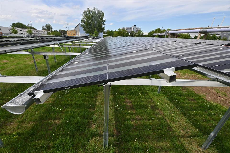 Erste Agri-PV Projekte entstehen in Thüringen - oft noch als Testanlagen. Martin Schutt/dpa