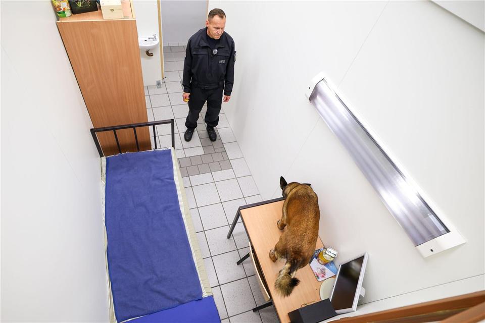 Erste Hunde der JVA-Diensthundestaffel können auf Papier oder Stoffen aufgebrachte NPS-Designerdrogen erschnüffeln. Trainiert wird in einer nachgebauten Zelle. Christoph Reichwein/dpa