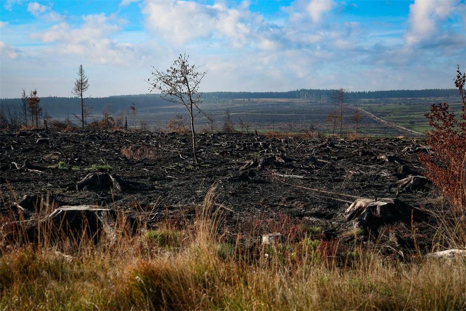 Ersten Erkenntnissen zufolge könnte der Einsatz eines landwirtschaftlichen Geräts das Feuer verursacht haben.Bruno Fahy/Belga/dpa