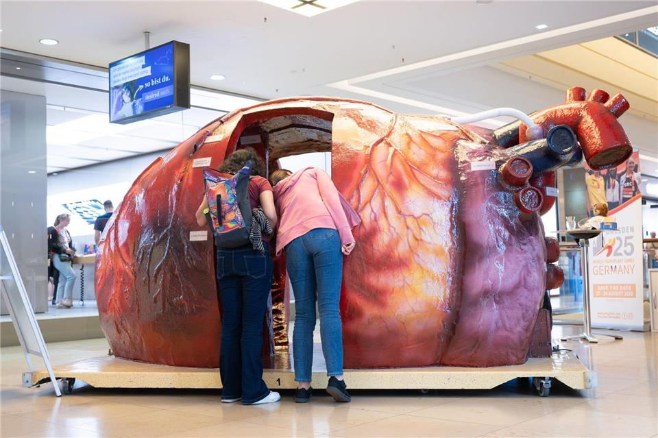 Erstmals werden die World Transplant Games in Deutschland ausgetragen - und Dresden ist Gastgeber.Sebastian Kahnert/dpa