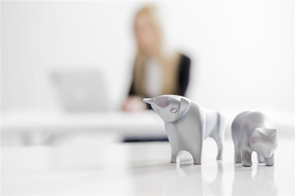 Erwartet uns 2026 ein Bullen- oder ein Bärenmarkt? Für Anlegerinnen und Anleger wäre es schön, das vorhersehen zu können.picture alliance / Monique Wüstenhagen/dpa-tmn