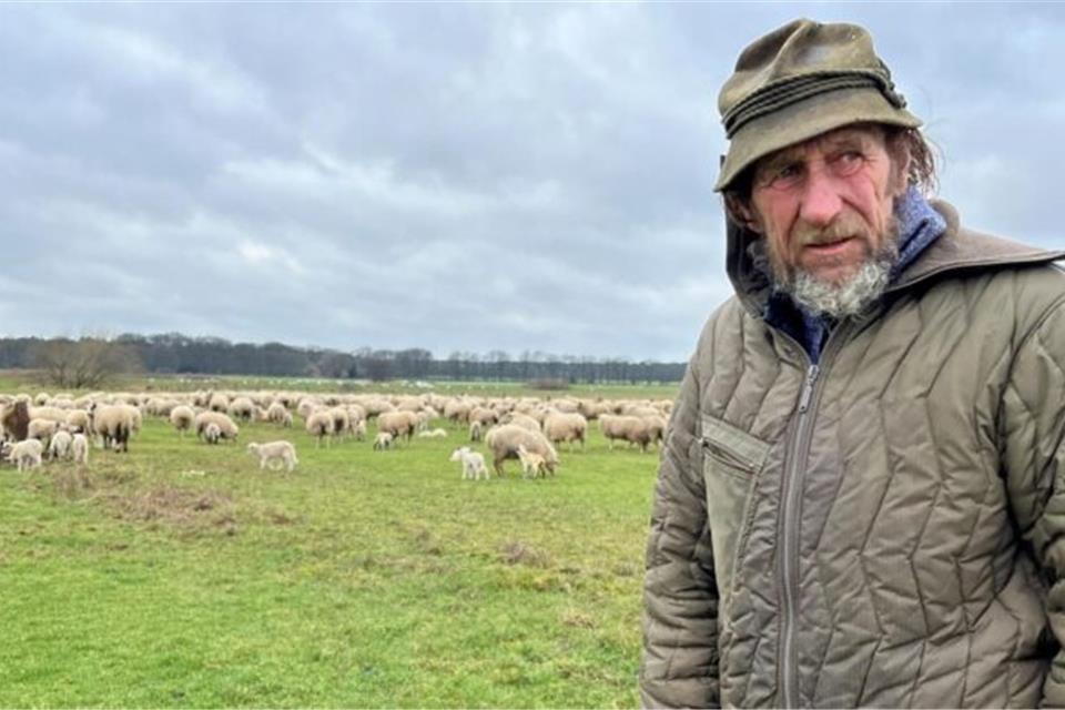 Erwin Biedermanns Herde wurde von einem Wolf attackiert - das steht nach einer DNA-Analyse mittlerweile fest.