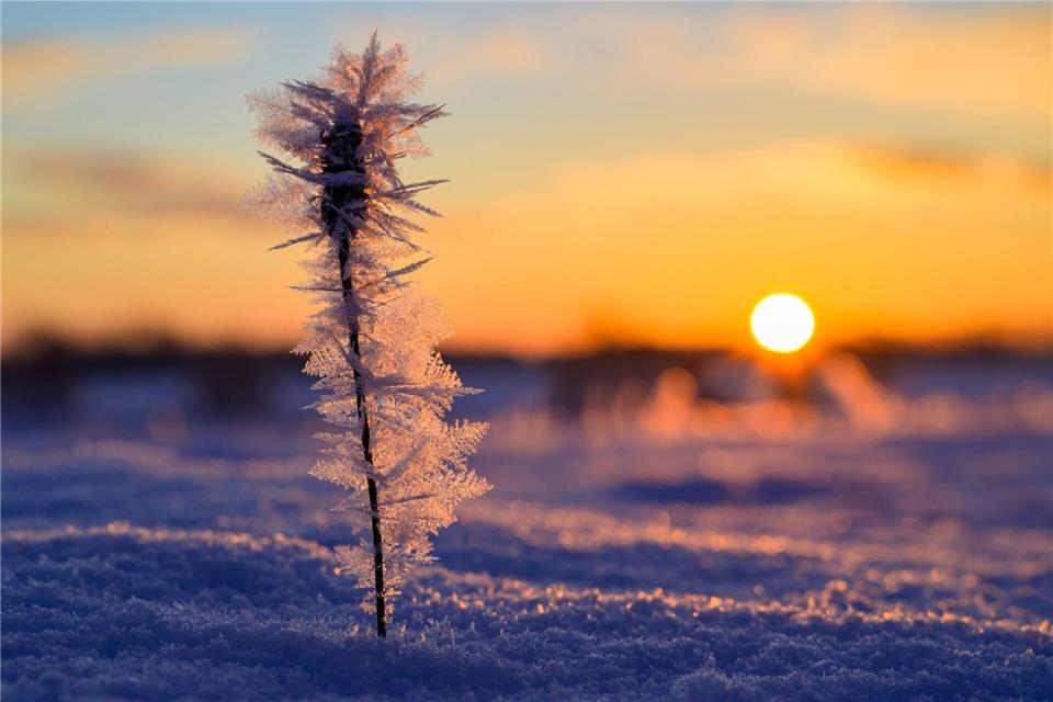 Es bleibt frostig, aber auch mit Sonne ist zu rechnen. (Symbolbild)Patrick Pleul/dpa