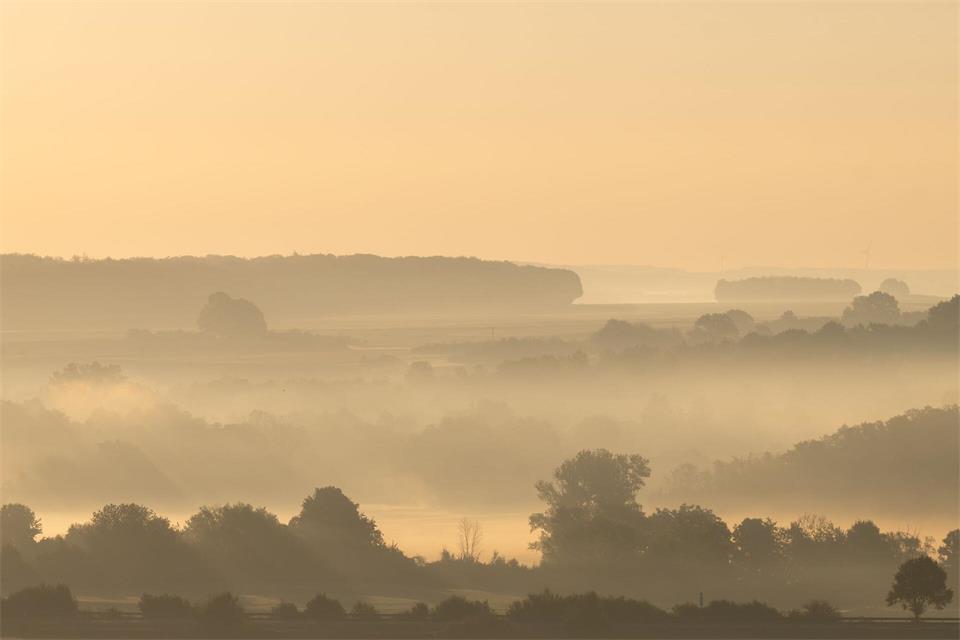 Es bleibt herbstlich in Hessen. (Archivbild)Florian Wiegand/dpa