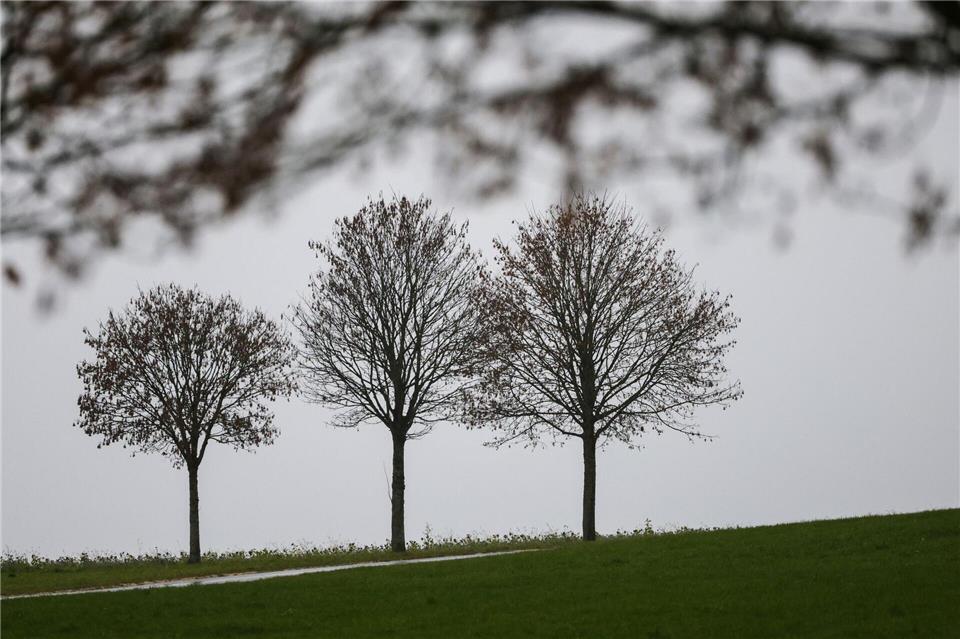 Es bleibt in den nächsten Tagen eher grau im Südwesten. (Archivbild)Thomas Warnack/dpa