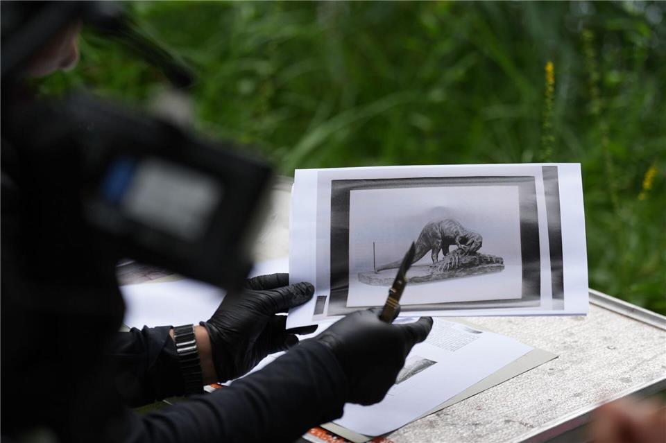 Es gibt ein historisches Foto der Saurier-Skulptur Allosaurus, aber der Restauratorin fehlen viele weitere Informationen.Marcus Brandt/dpa