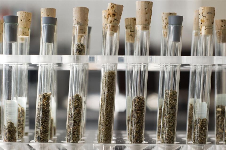 Es gibt endlos viele verschiedene Designerdrogen - die Hersteller reagieren sofort auf jede Gesetzesänderung. (Symbolbild)Christoph Schmidt/dpa