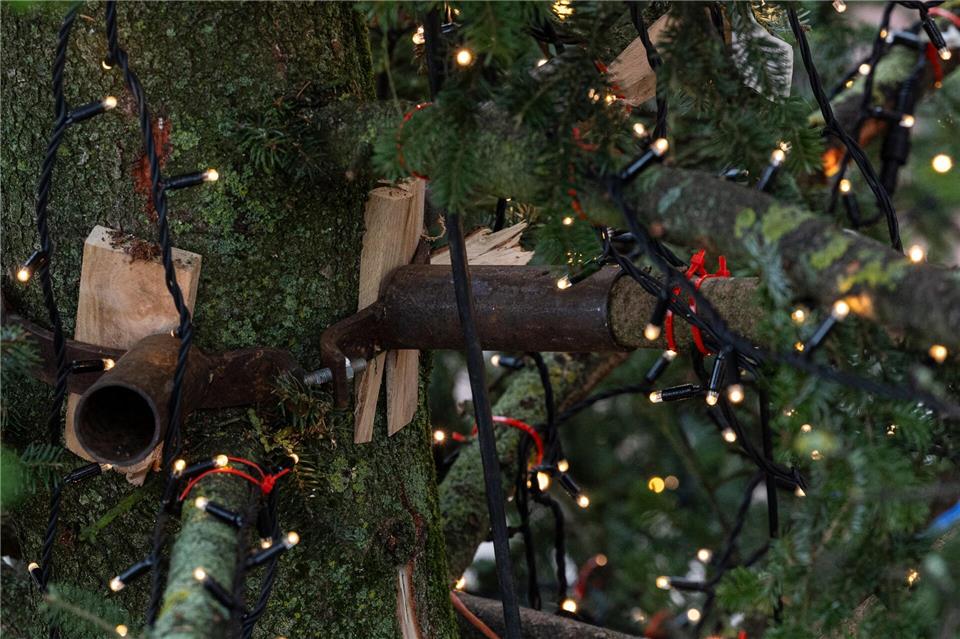 Es gibt verschiedene Techniken, um den Baum zu verschönern.Hannes P. Albert/dpa