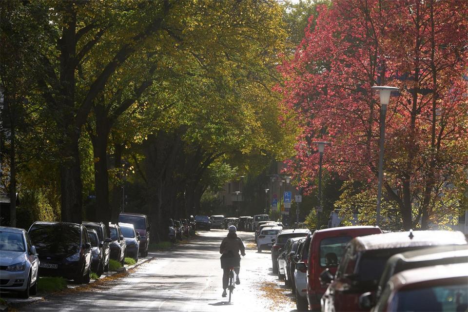 Es gibt weiter herbstliches Wetter.Thomas Frey/dpa