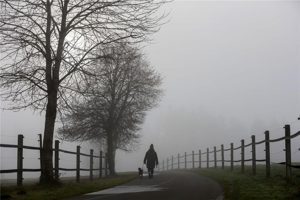Es gibt wieder Nebel in den kommenden Tagen. (Archivbild)Thomas Warnack/dpa
