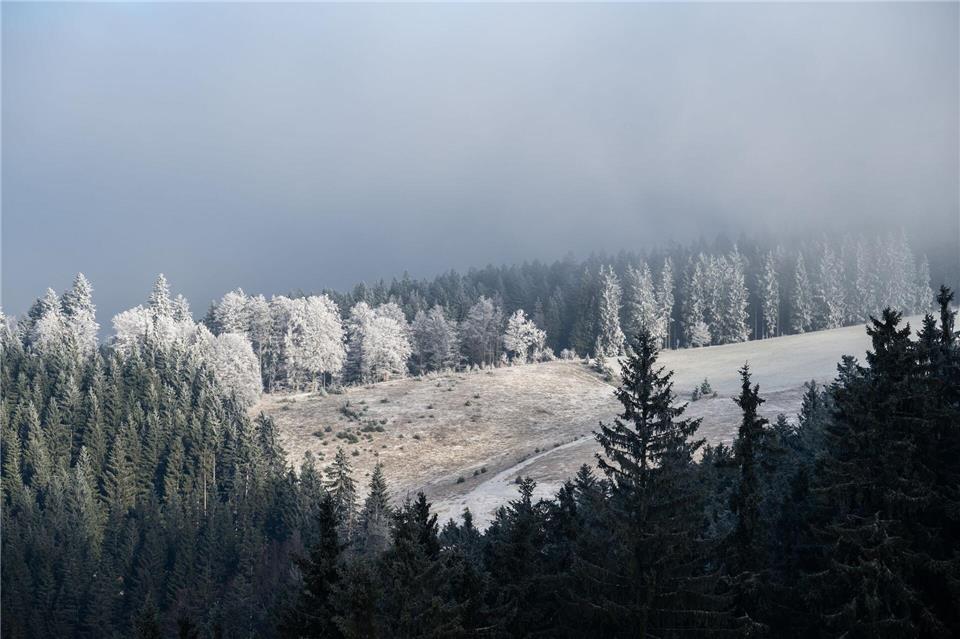 Es ist Winter in Baden-Württemberg. (Archivbild)Silas Stein/dpa