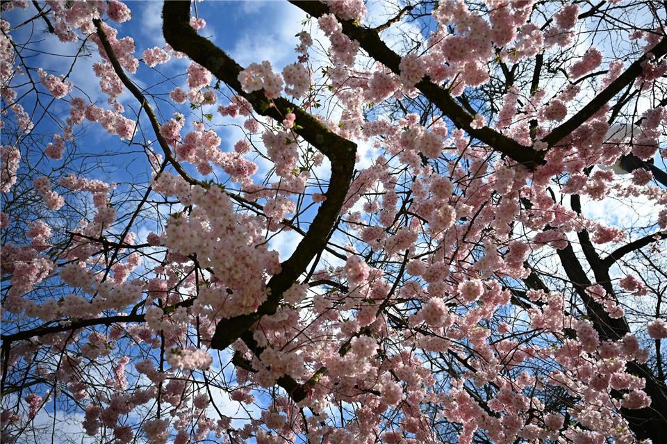 Es ist in Hessen verbreitet heiter und sonnig. (Archivbild)Michael Brandt/dpa