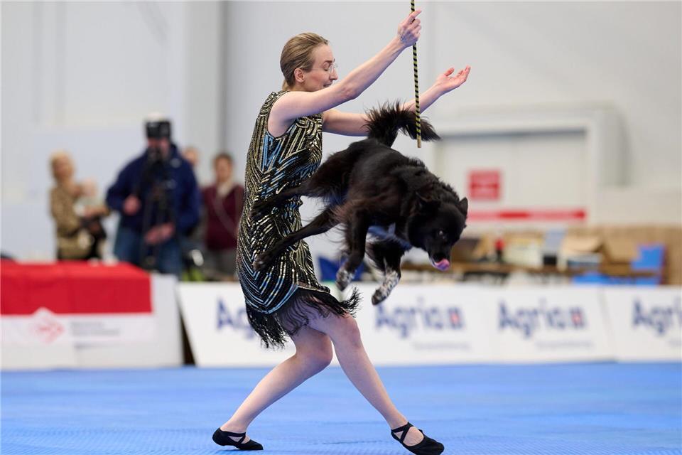 Es kann auch akrobatisch zugehen.Bernd Thissen/dpa
