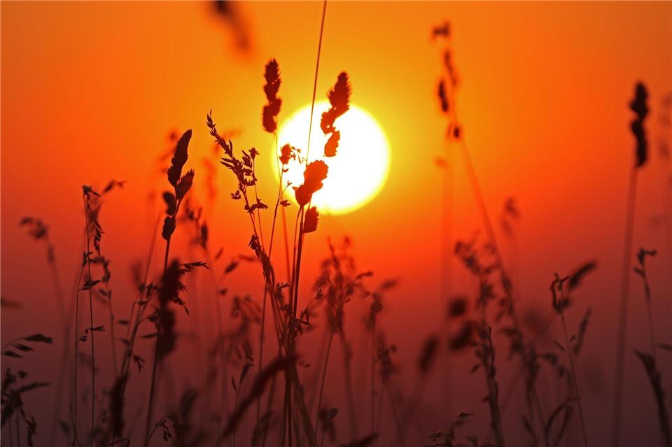 Es kann bis zu 36 Grad warm werden. (Archivbild) Matthias Bein/dpa
