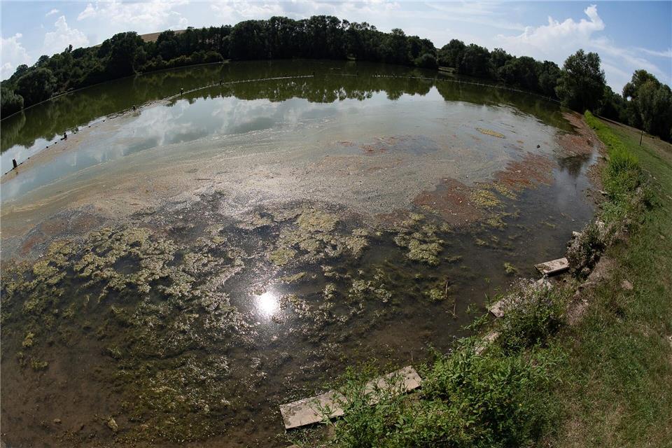Es können Trübungen des Wassers sowie Schlieren oder Ansammlungen an der Wasseroberfläche auftreten. (Symbolbild)Swen Pförtner/dpa