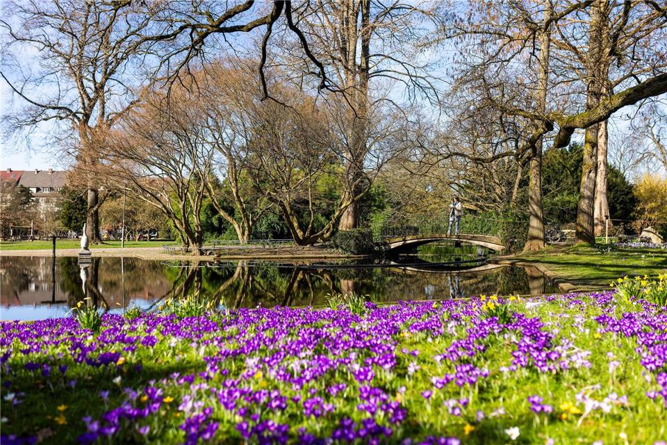 Es könnte ein historisch warmer Tag in Baden-Württemberg werden.Philipp von Ditfurth/dpa