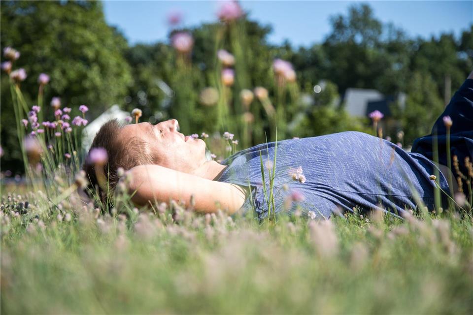 Zeckenstich mit Folgen: So schützen Sie sich vor FSME Es könnte so schön sein - würden im Gras nicht die lästigen Zecken lauern.picture alliance / dpa Themendienst